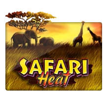 Joker123 : Safari Heat - SKYBET138