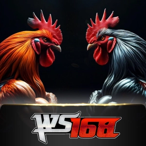 Ws168 Sabung - SKYBET138