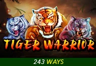 Spadegaming : Tiger Warrior - SKYBET138